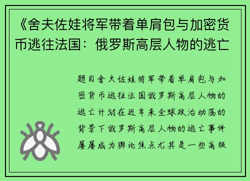 《舍夫佐娃将军带着单肩包与加密货币逃往法国：俄罗斯高层人物的逃亡计划》